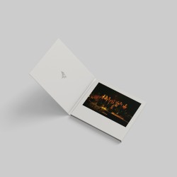 CD-QUIDAM "SEE EMILY PLAY - LIVE AT HOME 2003"